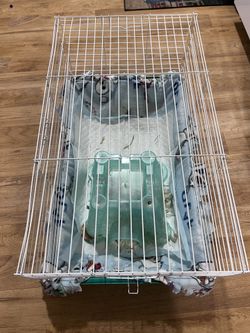 GuineaPig Cage