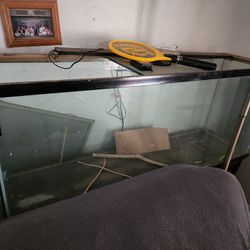 110g Fish Tank