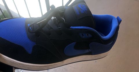 Sb Dunks Size 10.5