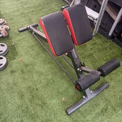 Back Extension Gym Equipment