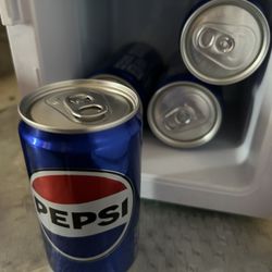 Mini Fridge 