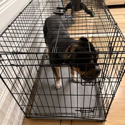 Dog Crate 