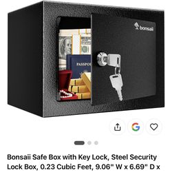 Bonsaii Safe Box with Key Lock, Steel Security Lock Box, 0.23 Cubic Feet, 9.06" W × 6.69" D x 6.69" H, Small Hidden Safe for Cash Jewelry