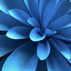 Flowers Hand Made Paper