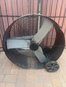 Fan