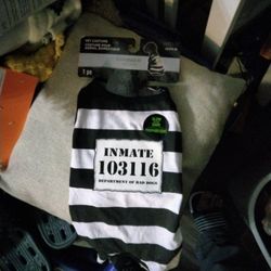 Pet Custom