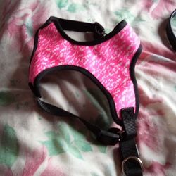 Dog Harness 