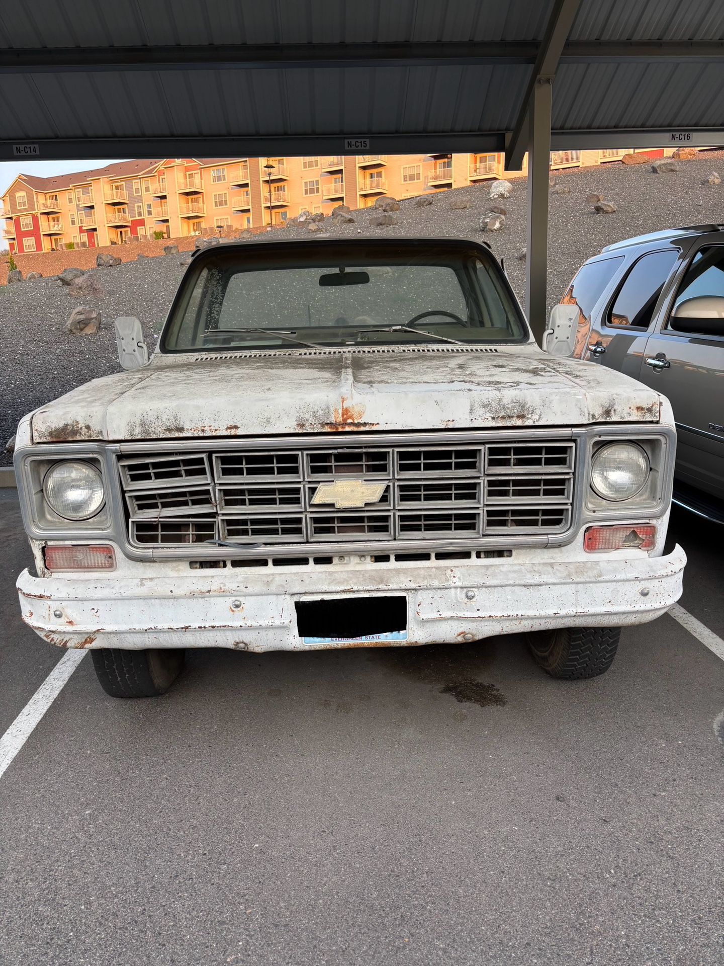 1979 Chevy C-10