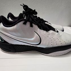 Nike Lebron 21 "Conchiolin" - Size 8.5