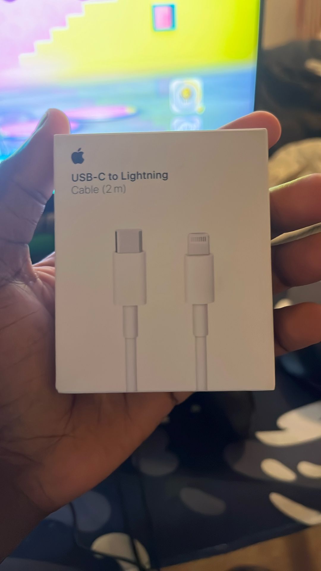 iPhone charger