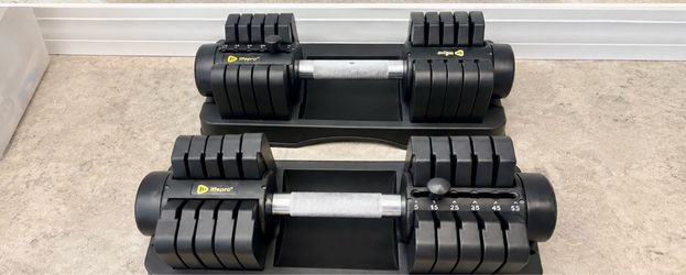 Pair Dumbbell adjustable