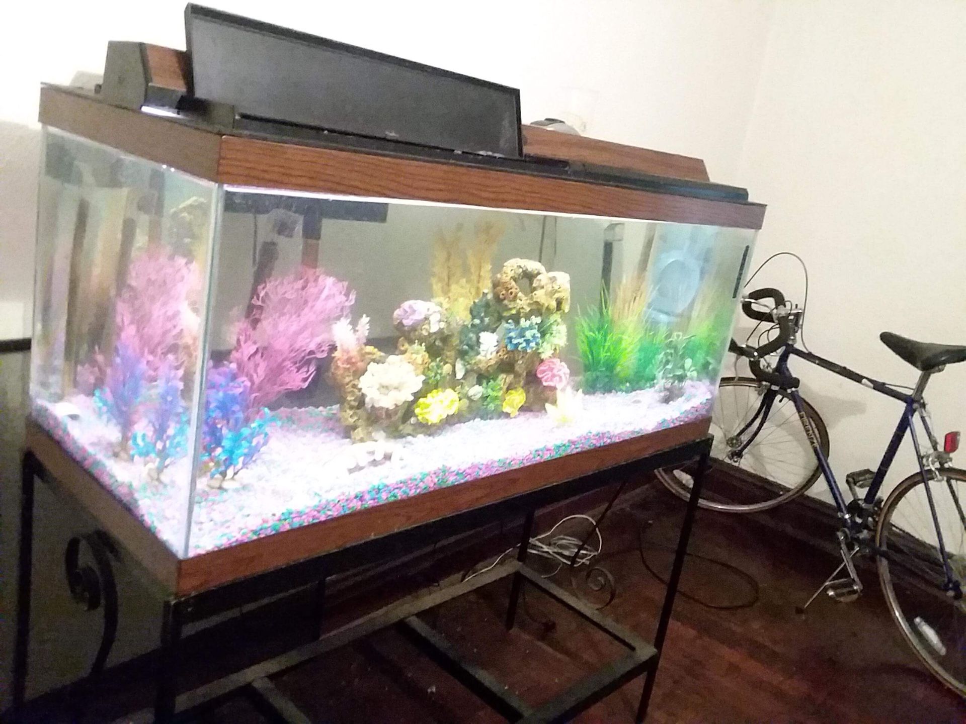 30 gallon fish Tank