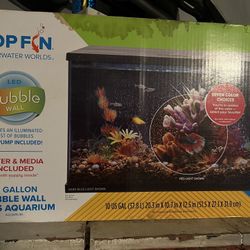 10 Gallon Aquarium
