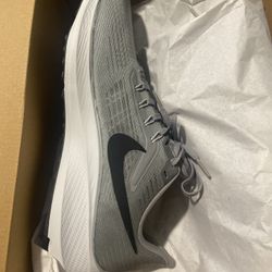 Brand New In Box Nike Air Pegasus 39