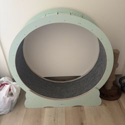 Cat Wheel Treadmill Exercise 43 Inch