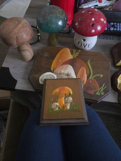 Mushroom collection