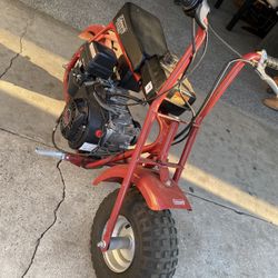 Doodle Bug With A  5.0