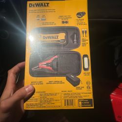 Dewault Power Jumper Box