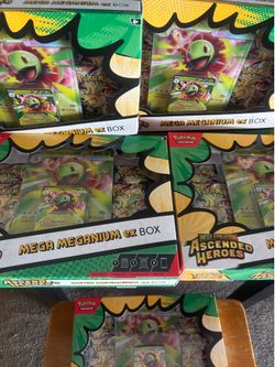 Pokemon mega meganium ex box