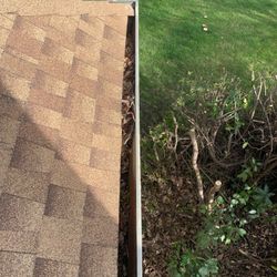 Do You Need Gutter Cleaning ?
