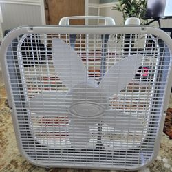 Fan