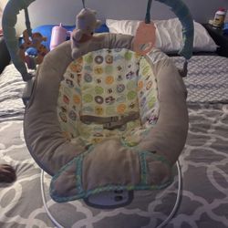 Baby Bouncer
