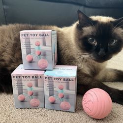 Pet Toy Ball For Dogs And Cats.