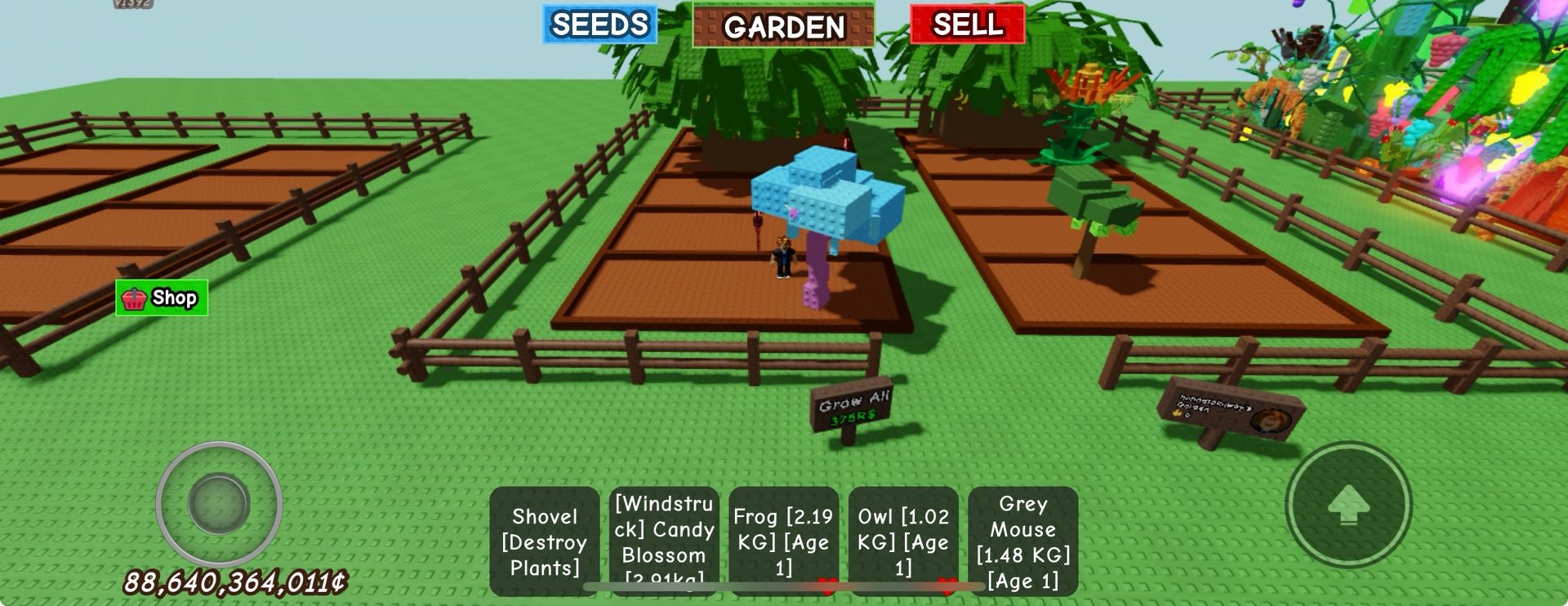 Roblox Grow A Garden Candy Blossom Account