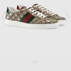 Ace Gucci Shoes 