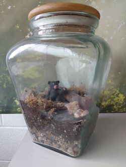 Woodland Themed Terrarium