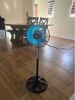 Fan