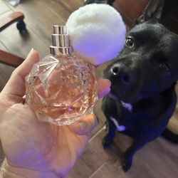 Ari by Arianna Grande DECANTS