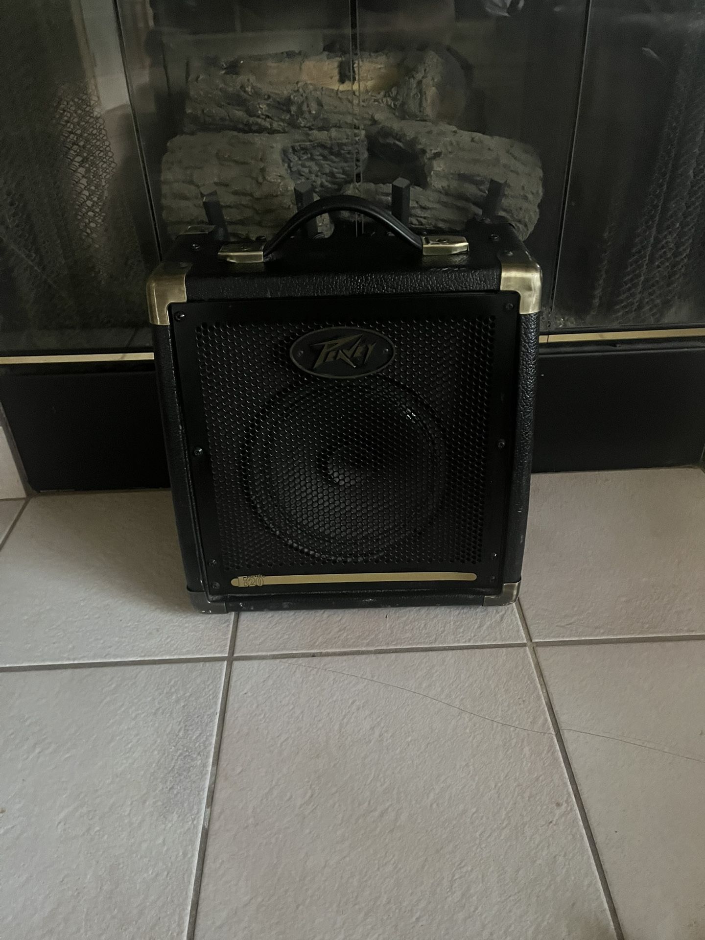 Peavey Ecoustic E20 Amp