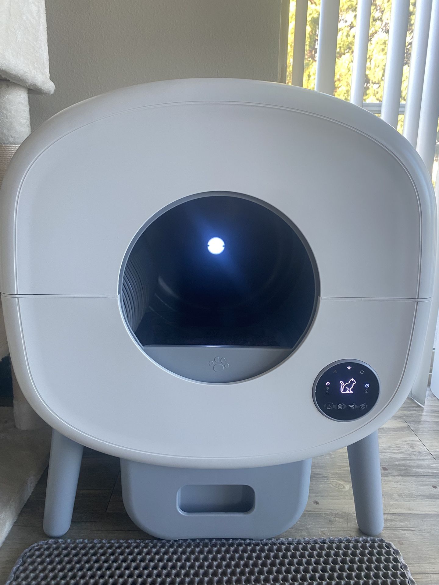 Self Cleaning Litter Box.