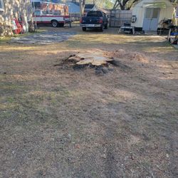 Stump Grinding 