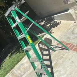 6 Foot Louisville Ladder