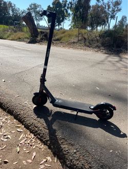 Scooter hi boy 2