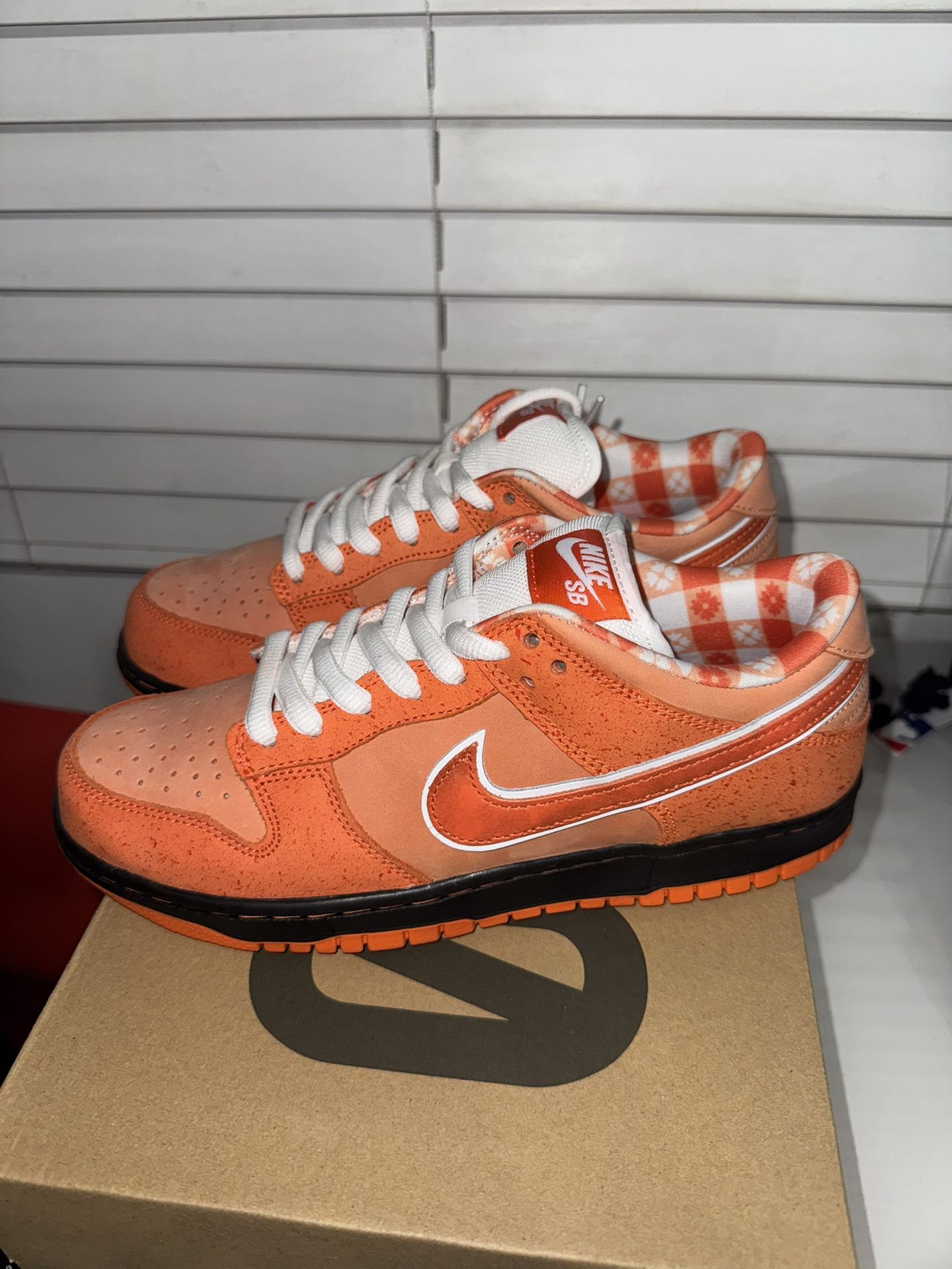 Nike SB