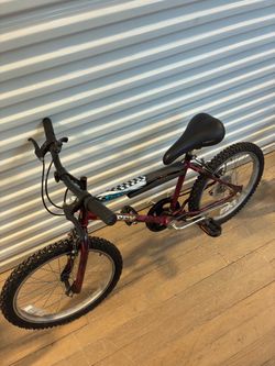 20 inch bike