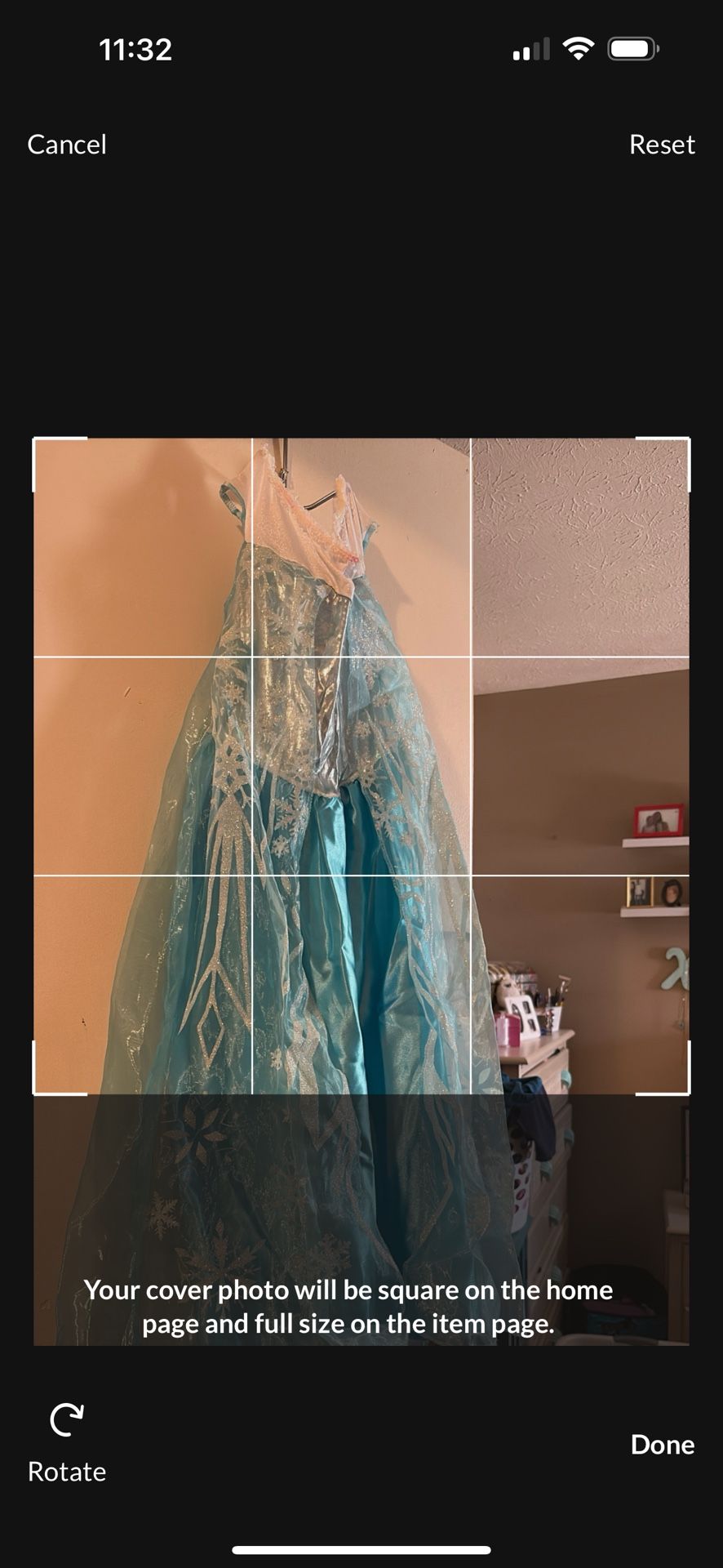 Frozen Princess Dress And Accessories