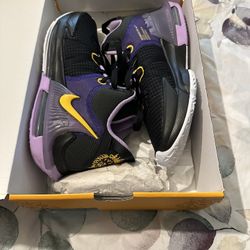 LeBron Witness Shoes