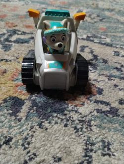 Paw patrol everest