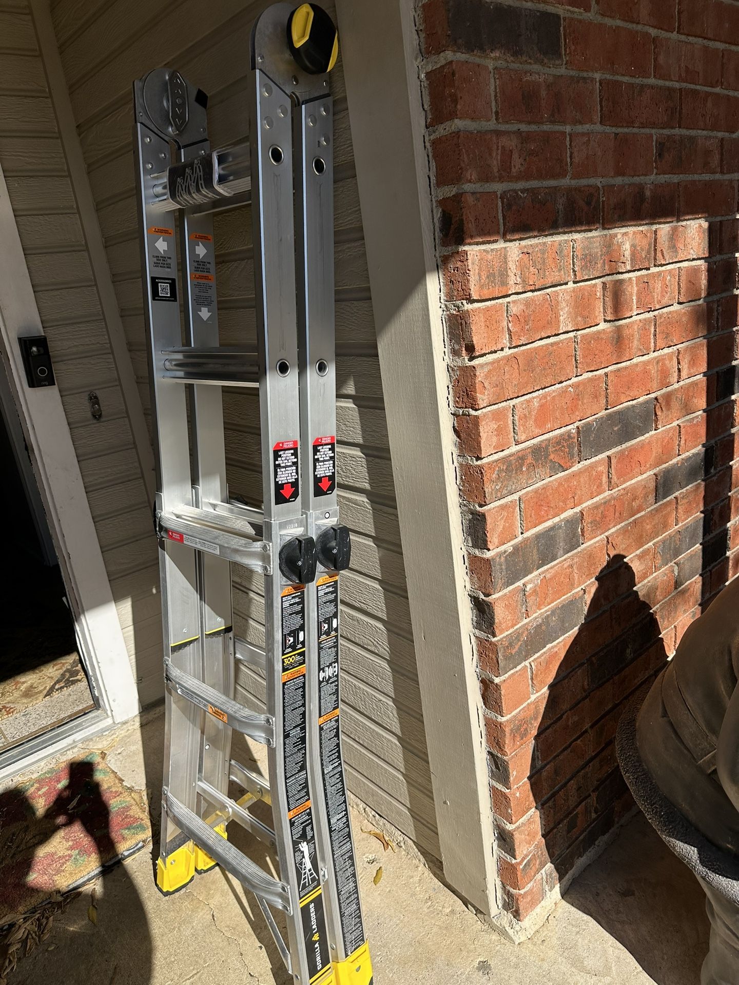 Brand New Gorilla. Ladder