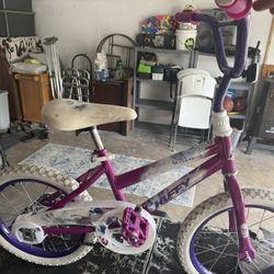 Huffy 16 Inch Bike 