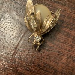 Costume Bug Brooch 