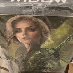 BLACK WIDOW…AVENGERS INFINITY WAR HOT TOYS