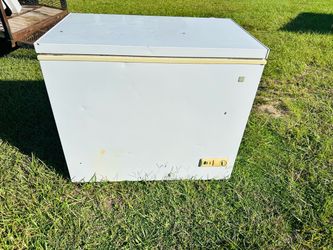Ge freezer