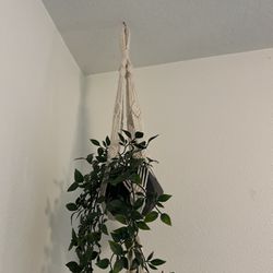 Fake Hanging Plant 
