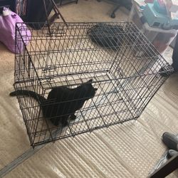 Cage