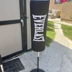 Boxing cardio Punching Bag 